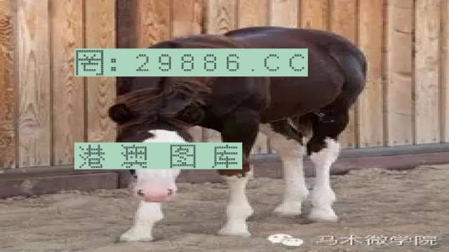 揭秘446999一肖中特馬之秘密，掌握中獎玄機！，揭秘特馬中獎玄機，446999一肖中的秘密大揭秘！