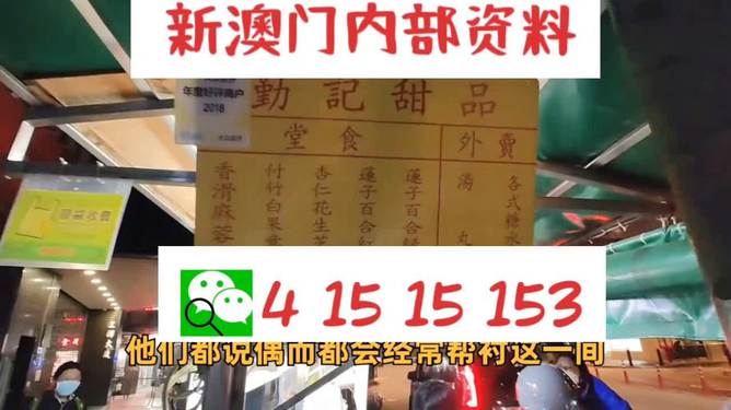 新澳門單雙肖期期，探索與解析，澳門單雙肖期期探索與解析指南