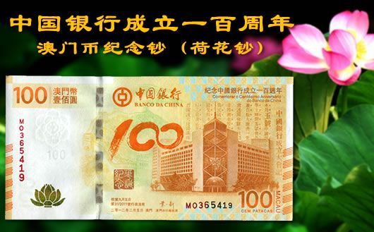 新澳門掛牌正版掛牌完整掛牌，探索與解析，澳門正版掛牌詳解，探索完整流程與解析
