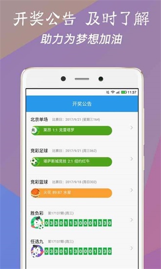 澳門今一必中一肖一碼一肖，揭秘彩票背后的秘密與策略，揭秘彩票背后的秘密與策略，澳門今一必中一肖一碼一肖探秘