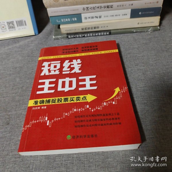王中王平特一肖中的奧秘與探索，王中王平特一肖的奧秘與探索之旅