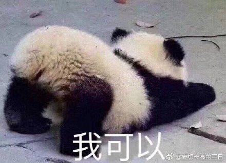澳門精準(zhǔn)四不像最新正版，揭秘與探索，澳門精準(zhǔn)四不像揭秘與探索最新正版資訊