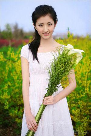 新澳門生肖走勢圖精準(zhǔn)版，解讀與SEO策略，新澳門生肖走勢圖精準(zhǔn)解讀與SEO策略揭秘