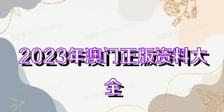 澳門正版資料大全免費歇后語——探索與傳承的文化魅力，澳門正版資料探索與傳承的文化魅力，歇后語大全免費呈現(xiàn)