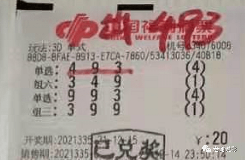 新奧門彩天天開獎(jiǎng)資料一網(wǎng)羅萬象，揭秘彩票奧秘，揭秘彩票奧秘，新奧門彩天天開獎(jiǎng)資料一網(wǎng)羅萬象