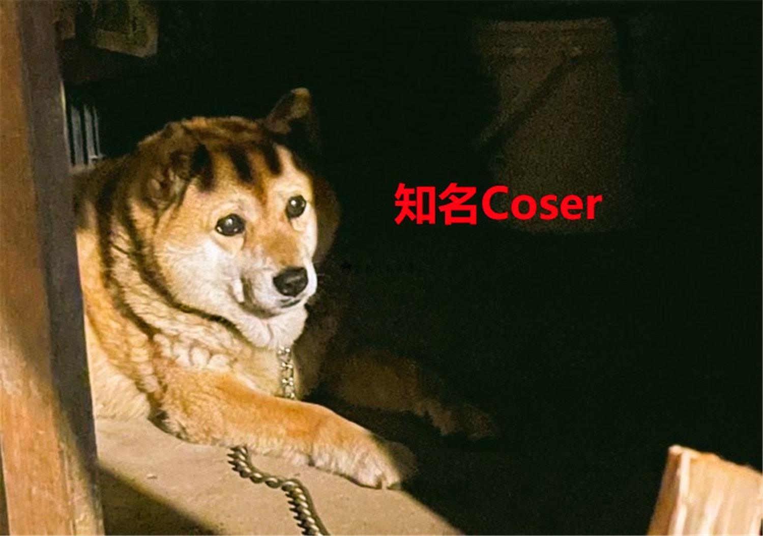 豬狗同行王中王，猜一肖，深度解析與SEO優(yōu)化，豬狗同行王中王猜謎解析與SEO優(yōu)化技巧，深度解析揭秘生肖之謎