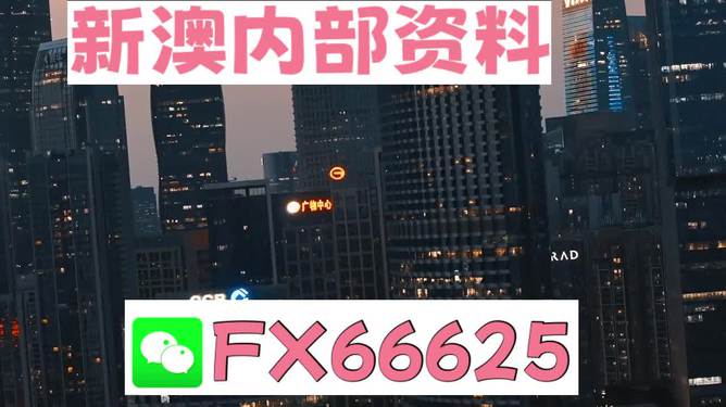 澳門跑狗，探索與解析，澳門跑狗，探索與解析之道
