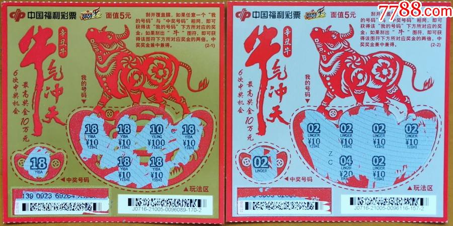 王中王19期指一生肖——探尋背后的奧秘與意義，王中王19期指一生肖，背后的奧秘與意義探尋