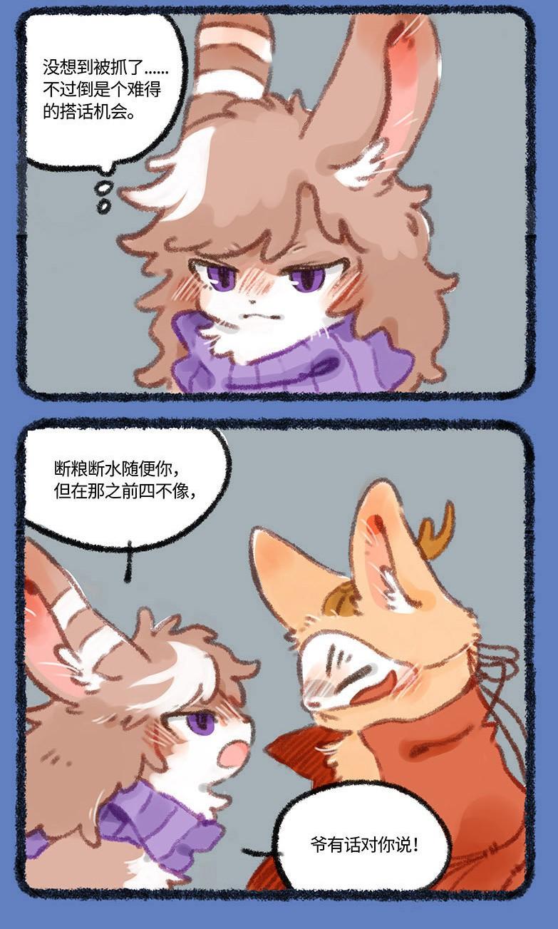 今天正版四不像，深度解析一種獨特的文化現象，深度解析，正版四不像——獨特的文化現象探究