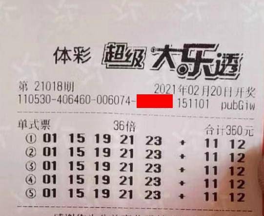 王中王018期指一生肖，揭秘背后的奧秘與意義，揭秘生肖奧秘，王中王生肖背后的意義與秘密