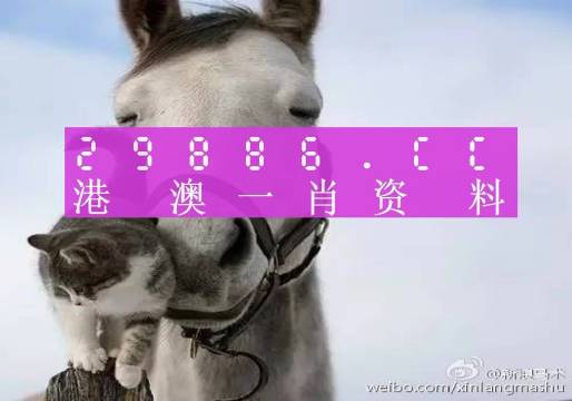 揭秘劉伯溫四肖選一碼的意思——探尋背后的故事與真相，揭秘劉伯溫四肖選一碼背后的真相與故事
