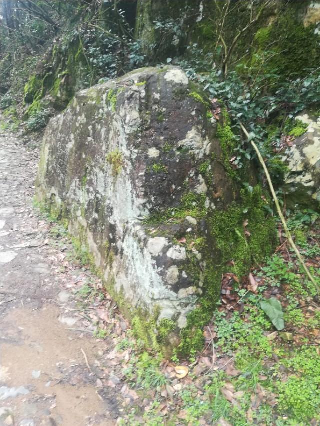 揭秘四不像劉伯溫一肖圖——探尋背后的神秘故事與SEO奧秘，揭秘四不像劉伯溫一肖圖背后的神秘故事與SEO奧秘探索