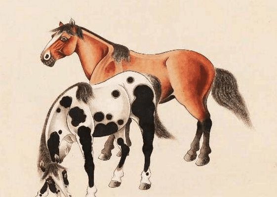 馬一王中王特平一肖圖，深度解析與SEO優(yōu)化策略，深度解析馬一王中王特平肖圖，SEO優(yōu)化策略探討