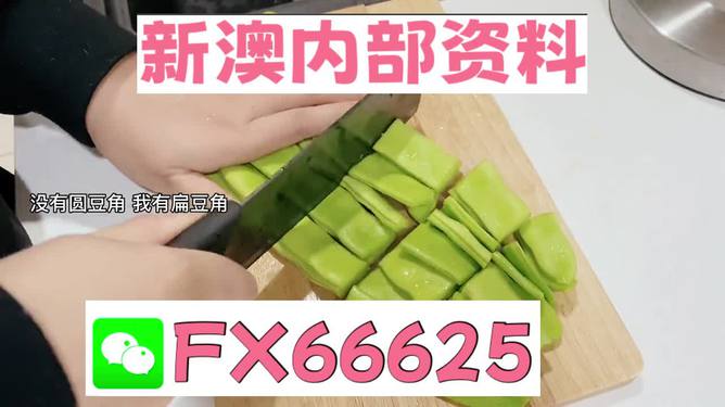 新澳精選資料免費(fèi)提供，探索優(yōu)質(zhì)資源的海洋，新澳精選資料免費(fèi)探索，優(yōu)質(zhì)資源海洋的開啟