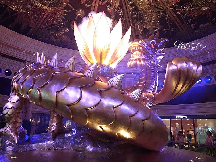 澳門無(wú)錯(cuò)七尾，探索與解析，澳門無(wú)錯(cuò)七尾，深度探索與解析