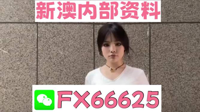 澳門正版資料大全完整版，探索與揭秘2025年澳門正版資料的世界，澳門正版資料大全揭秘，探索未來(lái)至2025年的奧秘世界
