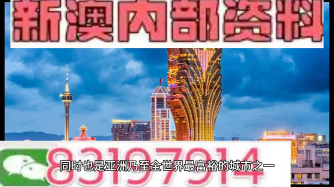 澳門精準資料免費，探索與揭秘，澳門精準資料揭秘與探索免費版