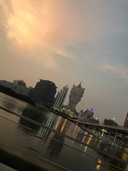 澳門今晚必開一肖一特，深度解析與預(yù)測，澳門今晚生肖特碼深度解析與預(yù)測，一肖一特必開趨勢探討