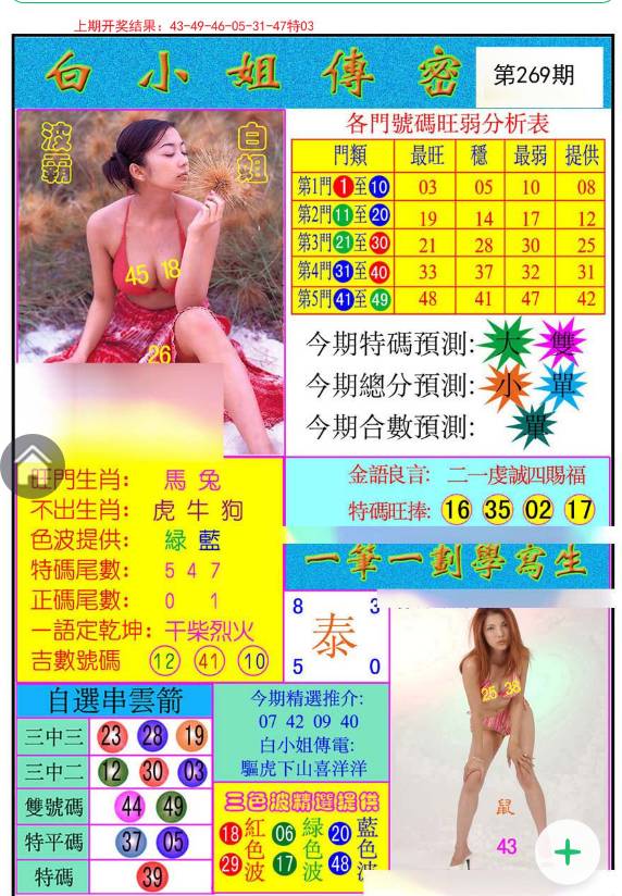 揭秘白小姐與王中王平持一肖的神秘面紗，白小姐與王中王，揭秘神秘生肖預(yù)測(cè)面紗