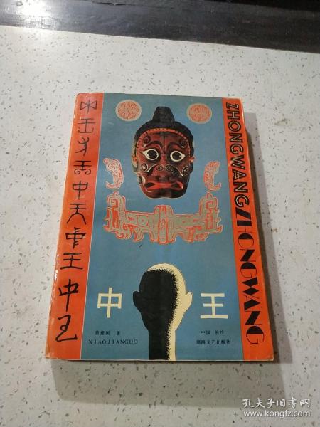 王中王資料與肖中特，深度解析，王中王資料與肖中特深度剖析
