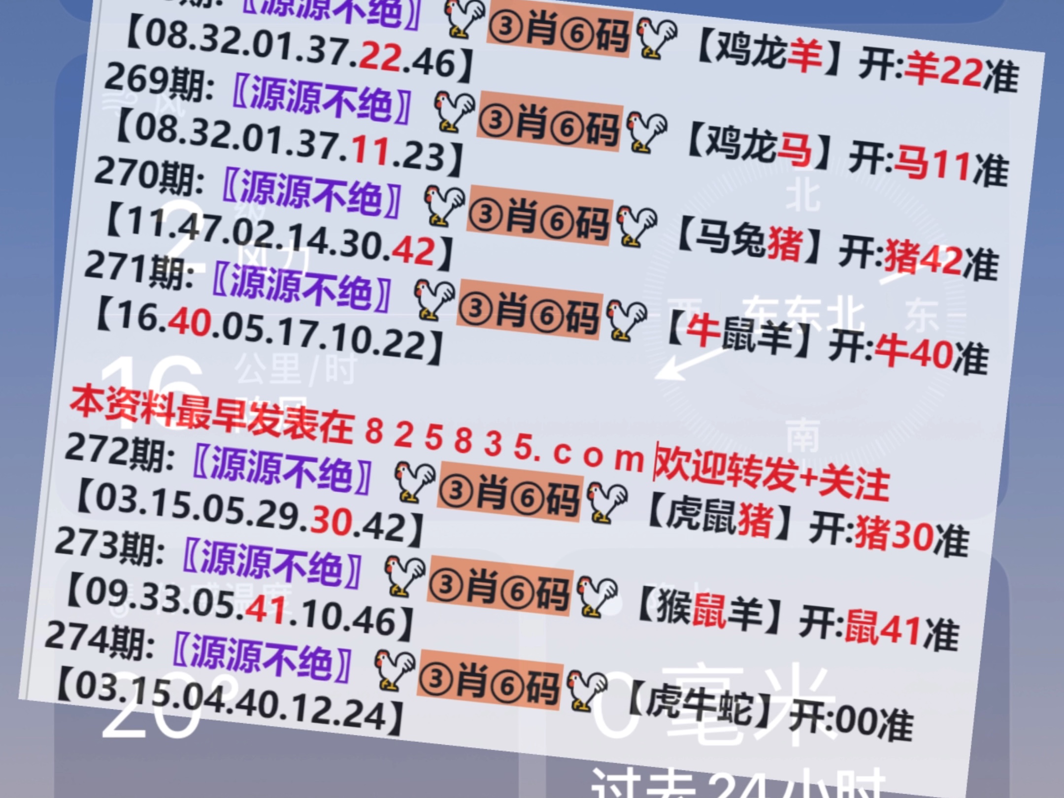 澳門一肖一碼開獎結(jié)果，揭秘彩票背后的秘密，澳門彩票開獎結(jié)果揭秘，一肖一碼背后的秘密