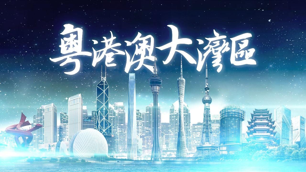 2025年香港正版免費(fèi)資料全面解析，香港正版免費(fèi)資料全面解析（2025版）