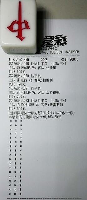 揭秘買一肖中獎的賠率與風(fēng)險(xiǎn)，你真的準(zhǔn)備好了嗎？，揭秘買一肖中獎背后的賠率與風(fēng)險(xiǎn)，你真的做好準(zhǔn)備了嗎？