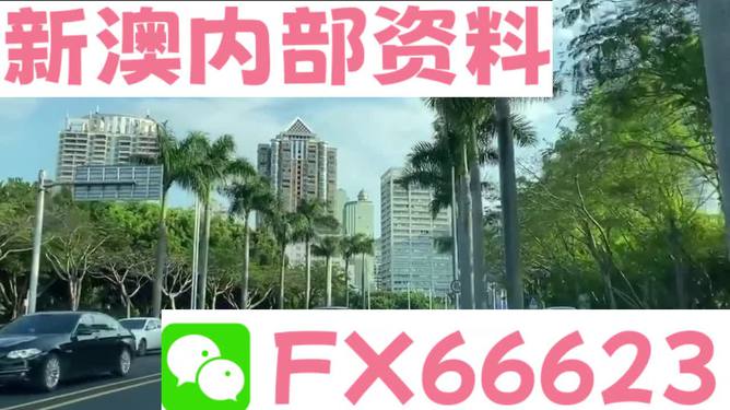 新澳精準(zhǔn)資料免費(fèi)提供，探索第221期的奧秘與價(jià)值，新澳精準(zhǔn)資料揭秘第221期奧秘與價(jià)值