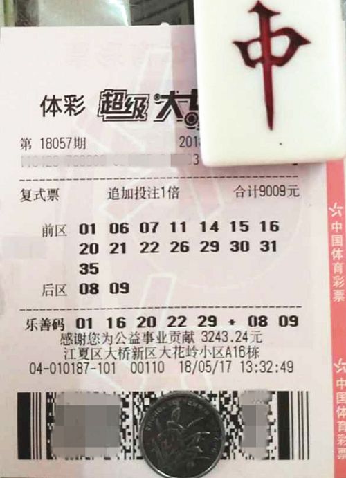 澳門六開彩天天開獎結果查詢，輕松掌握最新動態(tài)，澳門六開彩最新開獎結果查詢，輕松掌握每日動態(tài)