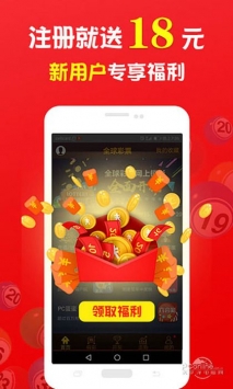 王中王一肖中打一，深度解析一種獨(dú)特的文化現(xiàn)象，王中王一肖中打一，獨(dú)特文化現(xiàn)象的深度探究