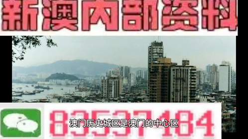 澳門全年最全免費(fèi)資料大全，探索無盡的資源寶庫，澳門全年免費(fèi)資料寶庫，探索無盡資源之旅