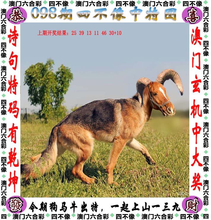 澳門四不像圖，神秘與獨特的藝術(shù)魅力，澳門四不像圖，神秘獨特的藝術(shù)魅力