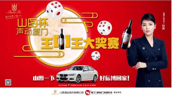 揭秘王中王背后的故事，從肖中的視角看其在SEO領(lǐng)域的輝煌成就，肖中視角下的王中王，SEO領(lǐng)域的輝煌成就揭秘