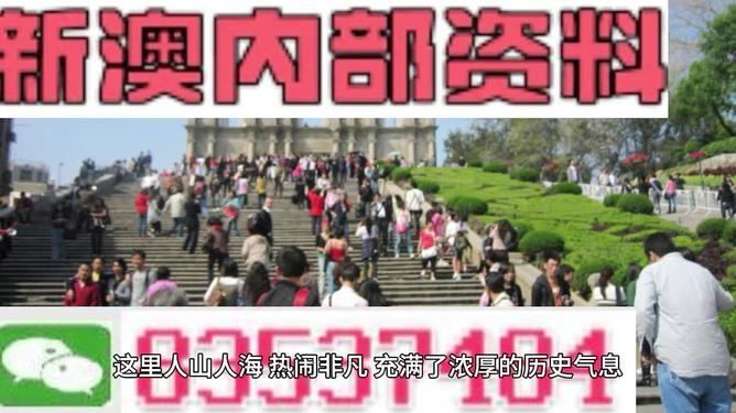 澳門最精準免費資料大全旅游團，探索澳門之旅的完美選擇，澳門最精準免費資料大全旅游團，探索澳門之旅的不二之選
