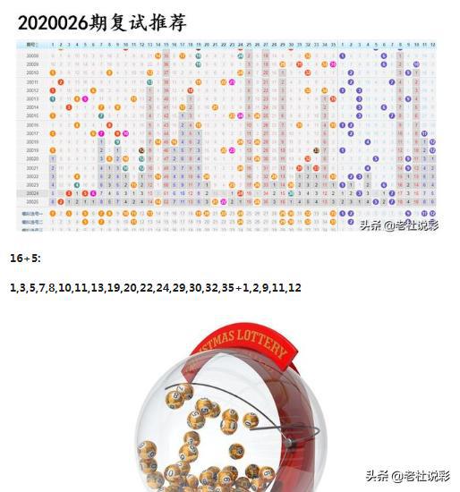 王中王026期指一生肖，深度解讀與SEO優(yōu)化策略，王中王026期生肖深度解讀與SEO優(yōu)化策略全解析