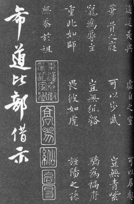 一肖二碼中特的意思解析，一肖二碼中特的意思深度解析