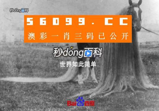 澳門一肖一碼一必中一肖舟山，揭秘彩票秘密，掌握幸運(yùn)之鑰，揭秘彩票秘密，澳門一肖一碼必中秘籍與幸運(yùn)之鑰在舟山開啟