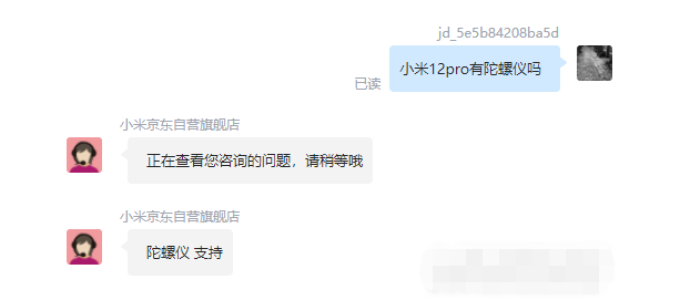 王中王一肖碼，探索關(guān)鍵詞背后的奧秘，王中王一肖碼，揭秘關(guān)鍵詞背后的奧秘