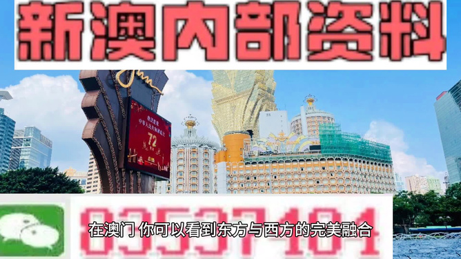 新澳新澳門正版資料，探索與解析，新澳新澳門正版資料深度解析與探索