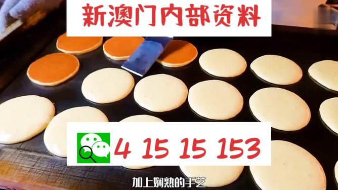 新澳門碼精準(zhǔn)資料，揭秘與探索，揭秘新澳門碼精準(zhǔn)資料探索之旅