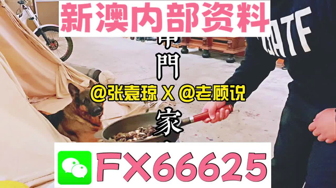新澳門精準資料大全，管家婆料解析與探索，澳門精準資料大全，管家婆料解析與深度探索