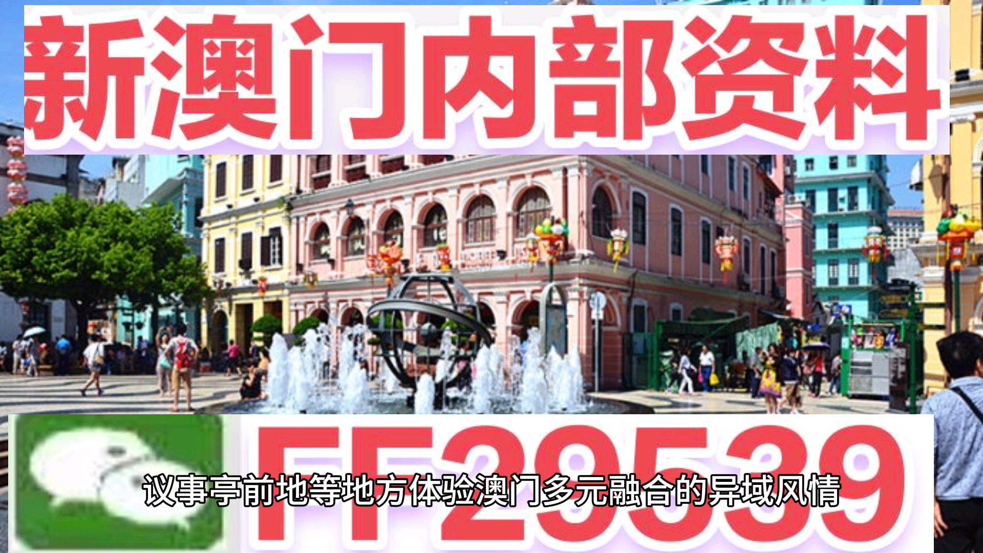 澳門今晚必開一肖一特，揭秘生肖彩票的魅力與策略，澳門生肖彩票揭秘，必開一肖一特的魅力與策略