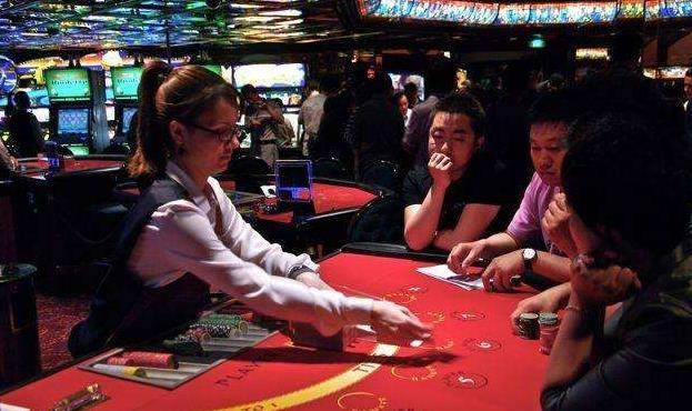 澳門金牛王中王一肖，探索背后的神秘與魅力，澳門金牛王中王一肖，神秘魅力背后的探索