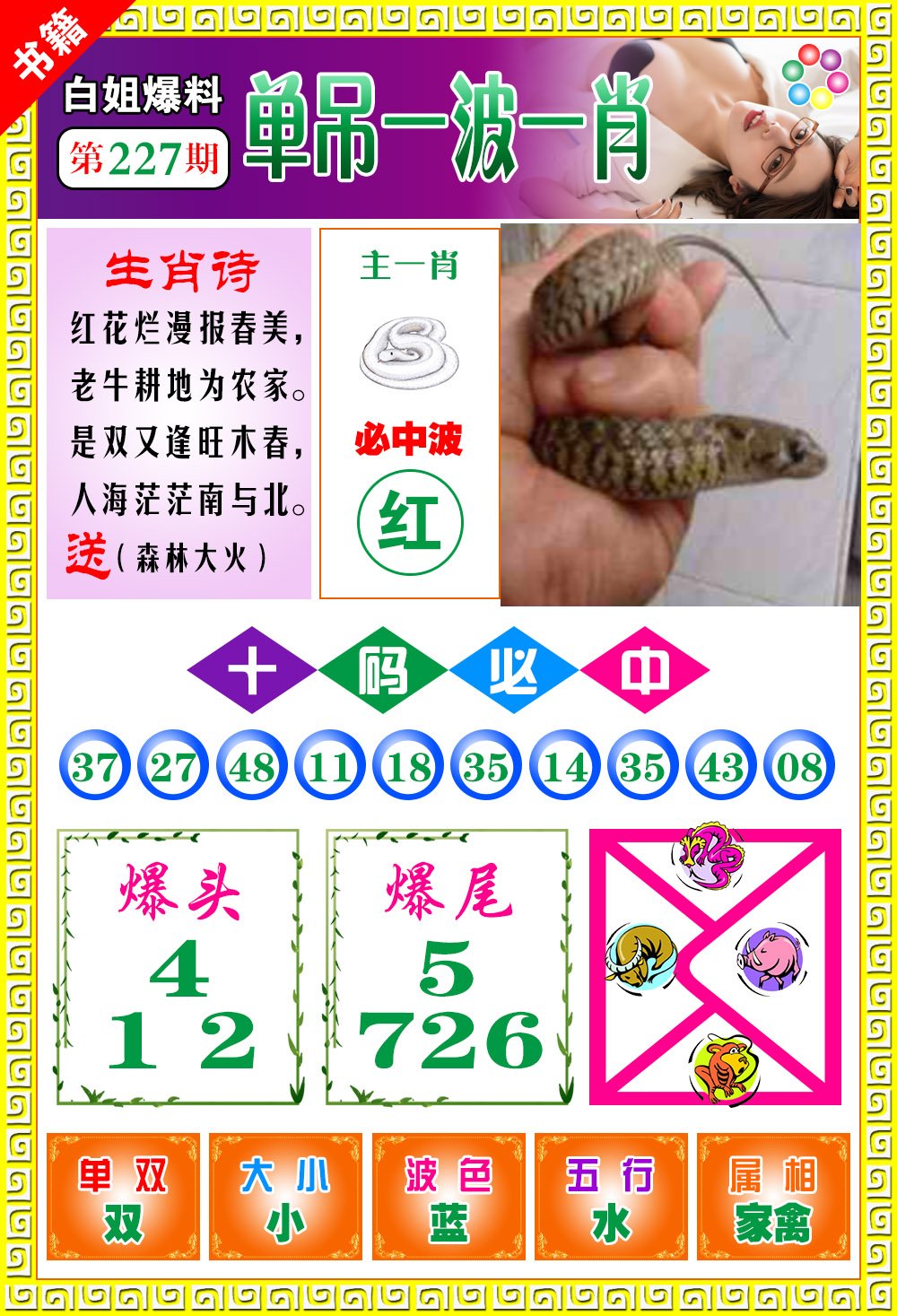 王中王免費(fèi)一肖開(kāi)獎(jiǎng)，揭秘彩票背后的秘密，揭秘彩票背后的秘密，王中王免費(fèi)一肖開(kāi)獎(jiǎng)探秘