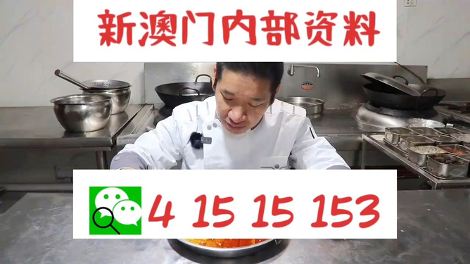 管家婆一肖資料大全，深度解析與探索，管家婆一肖資料深度解析與探索大全