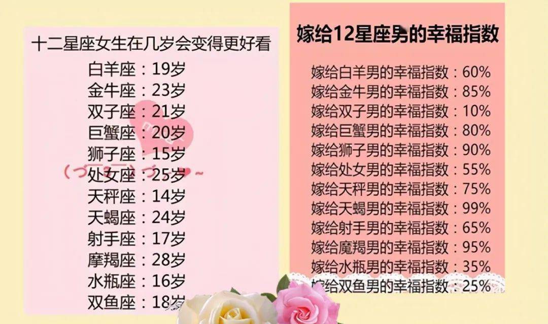 王中王十二生肖所屬之肖解析，王中王十二生肖解析揭秘