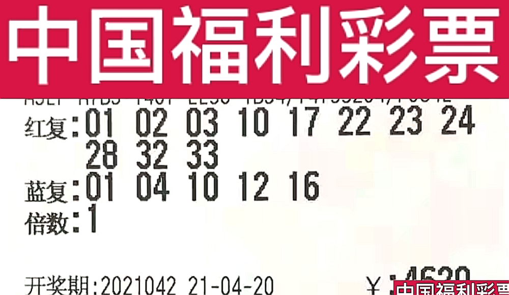 新奧門今晚開獎結(jié)果查詢第243期，全面解析與預(yù)測，新奧門第243期開獎結(jié)果解析與預(yù)測，今晚開獎揭秘