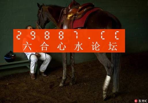 一肖一馬王中王一馬中特，深度解析與SEO優(yōu)化策略，一肖一馬王中王深度解析與SEO優(yōu)化策略探討