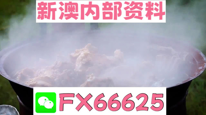 新澳全年免費(fèi)資料大全，一站式獲取優(yōu)質(zhì)資源指南，新澳全年優(yōu)質(zhì)資源免費(fèi)獲取指南