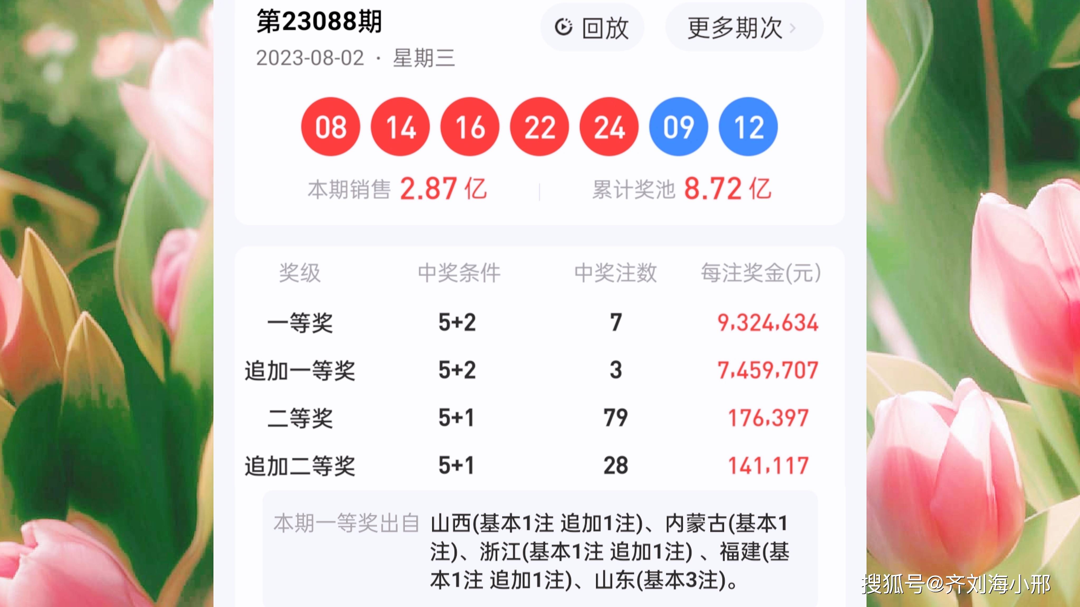 最新開獎結(jié)果揭曉，王中王與一肖中的幸運(yùn)時刻，王中王與一肖中幸運(yùn)時刻揭曉，最新開獎結(jié)果出爐